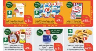 عروض بنده