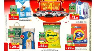 عروض المدينة